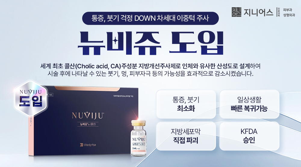 뉴비쥬 도입