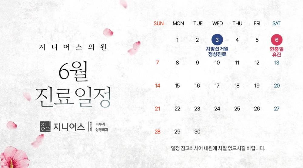 6월 진료일정